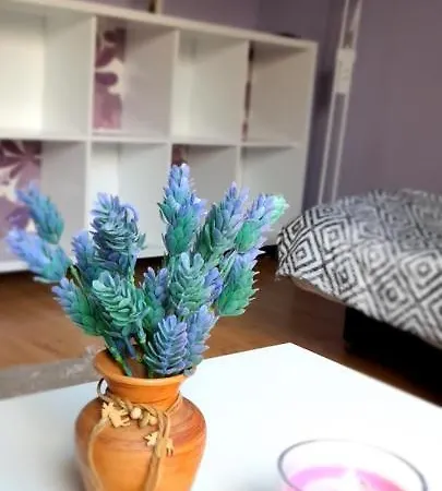 Homestay Goscinne U Ani - *