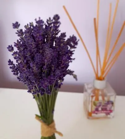 Homestay Goscinne U Ani - *