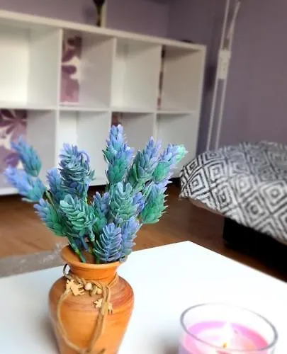 Homestay Goscinne U Ani - *