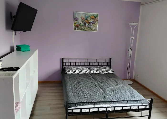 Homestay Goscinne U Ani - *