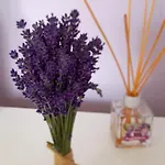 Homestay Goscinne U Ani - *