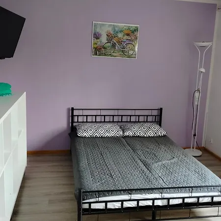 Pansiyon Goscinne U Ani - *